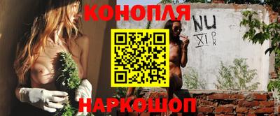 гашик Новокубанск