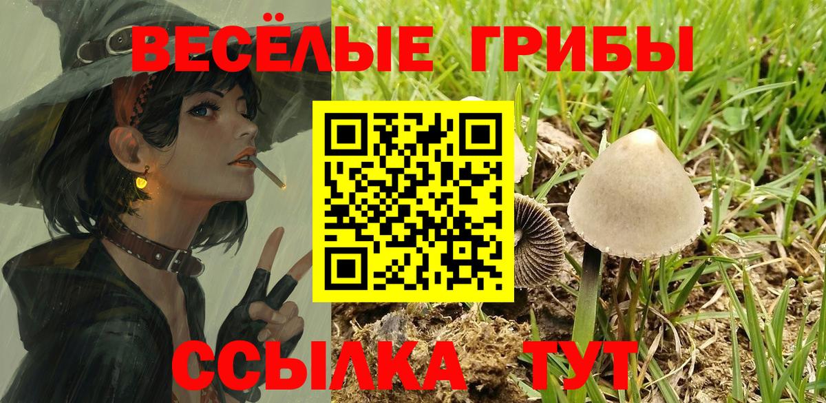 Псилоцибиновые грибы Cubensis Химки