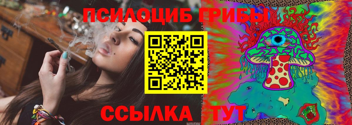 Псилоцибиновые грибы Psilocybine cubensis  Вход с VPN  Химки  Псилоцибиновые грибы Magic Shrooms 